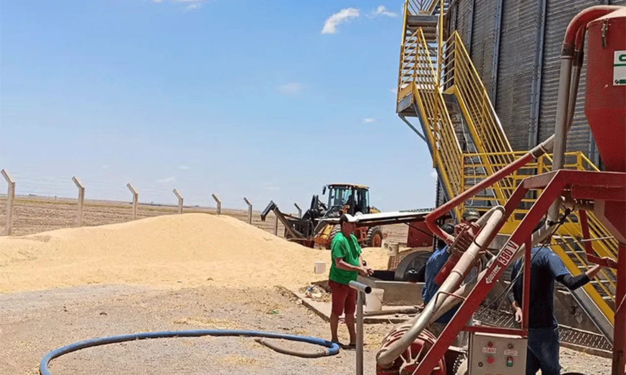 Silo de soja