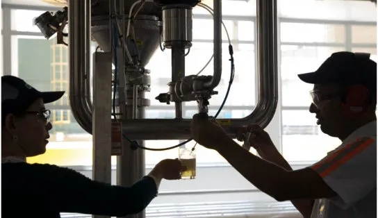 Ambev lança processo seletivo para programas de Estágio e Trainee; veja como se candidatar  