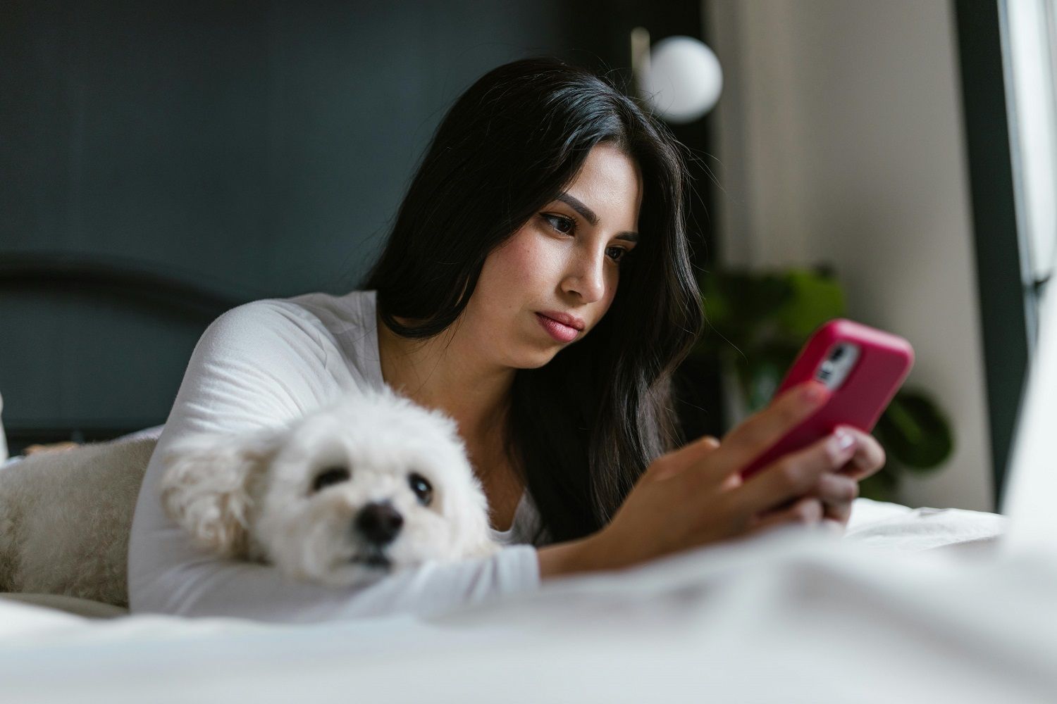 Segundo especialistas, essa angústia por estar offline pode gerar estresse. | Foto: Ilustrativa/Pexels