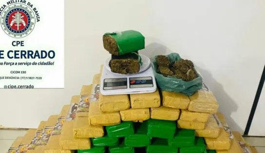 PM apreende 54 kg de maconha no interior Bahia, suspeito recebeu dinheiro para armazenar as drogas