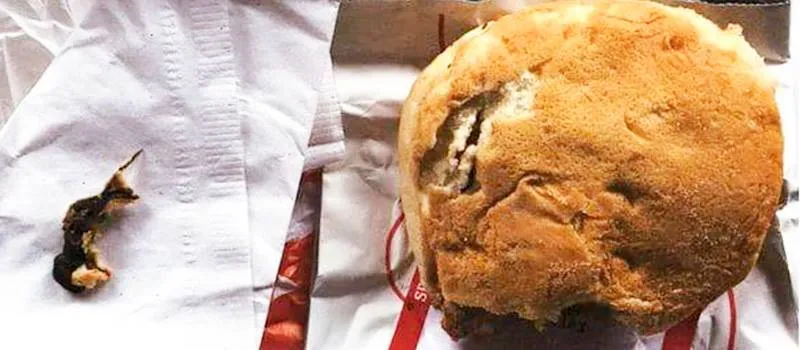 BIZARRO: Mulher encontra rato em sanduíche de frango nos EUA