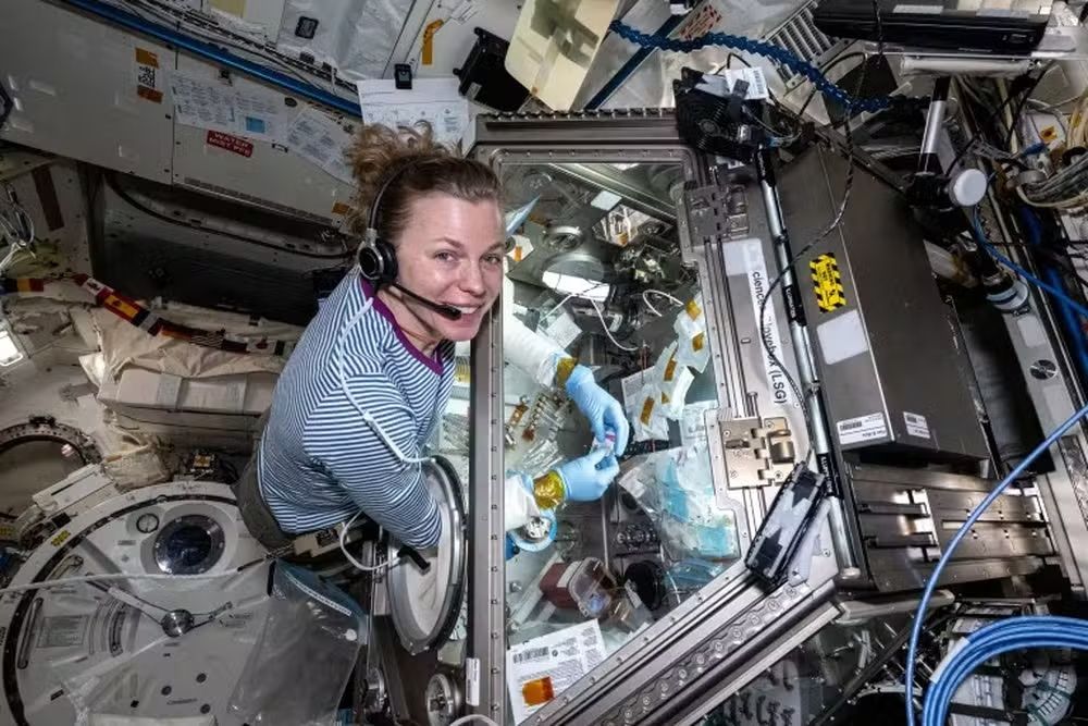 Cientista Da NASA