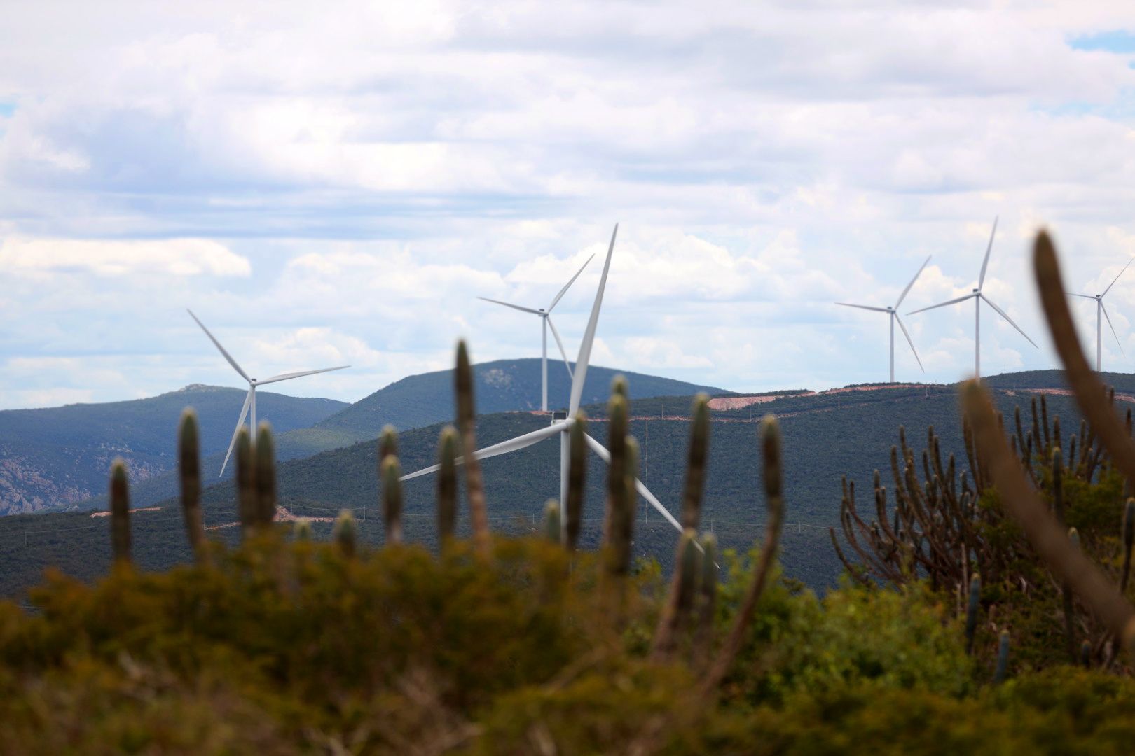 Geração de energia eólica é estratégia para economia no interior | Foto: Feijão Almeida/GOVBA