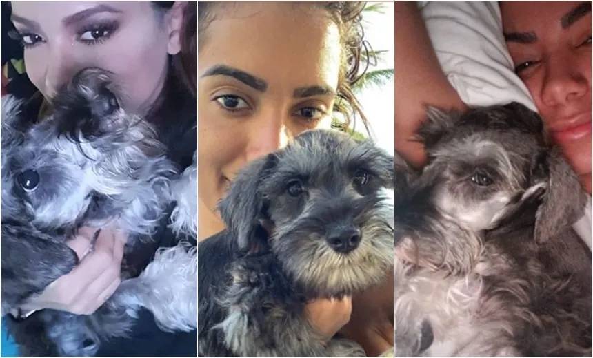 Anitta compartilha texto emocionante sobre morte de seu cão: &#8220;só consigo sentir dor&#8221;