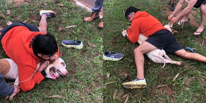 Em certo momento, ele foi derrubado pelos cães. Foram cerca de cinco minutos até conseguir imobilizá-los/Foto: Redes Sociais