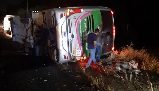 Acidente envolvendo um ônibus deixa quatro pessoas mortas na BR-110, na Bahia 