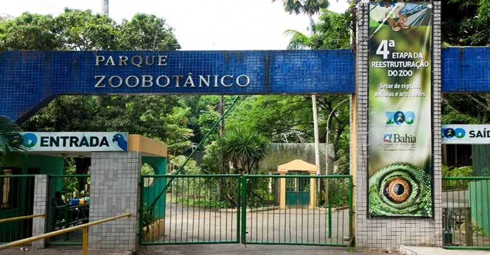 Zoológico de Salvador terá funcionamento suspenso a partir desta (5); confira programação