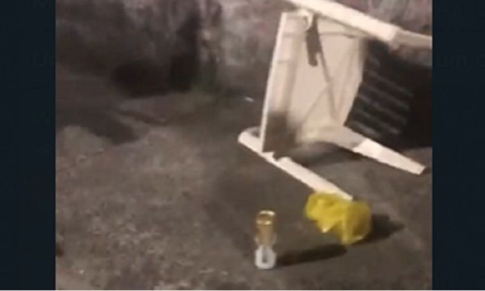 Foto: Reprodução | Vídeo