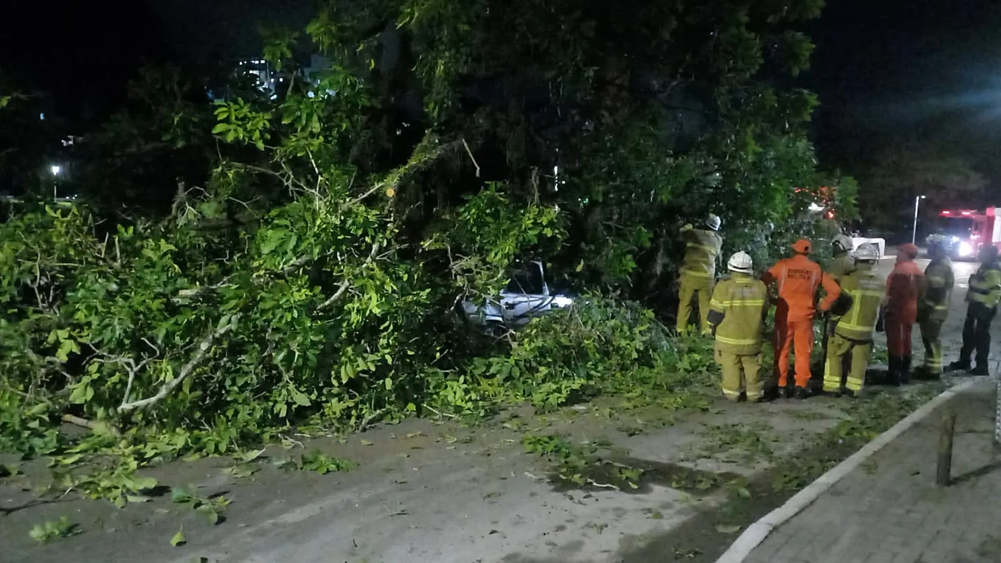 Árvore cai no Dique do Tororó, deixa feridos e complica trânsito no local