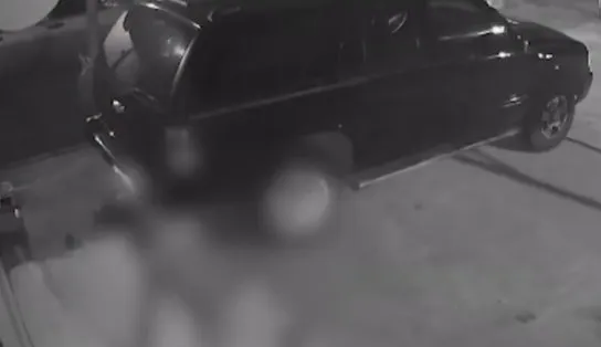 Cadela é estuprada por morador em situação de rua em Salvador e câmera de segurança flagra tudo