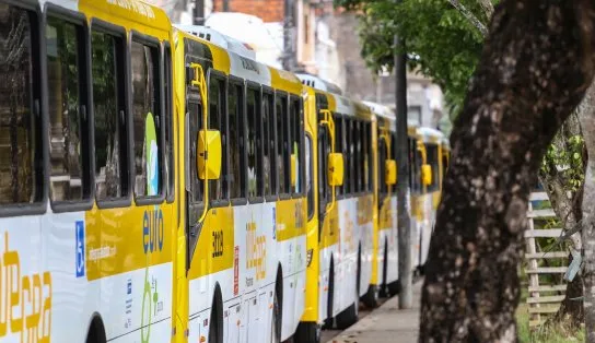 Acidente na Av. São Rafael altera 19 linhas de ônibus; confira