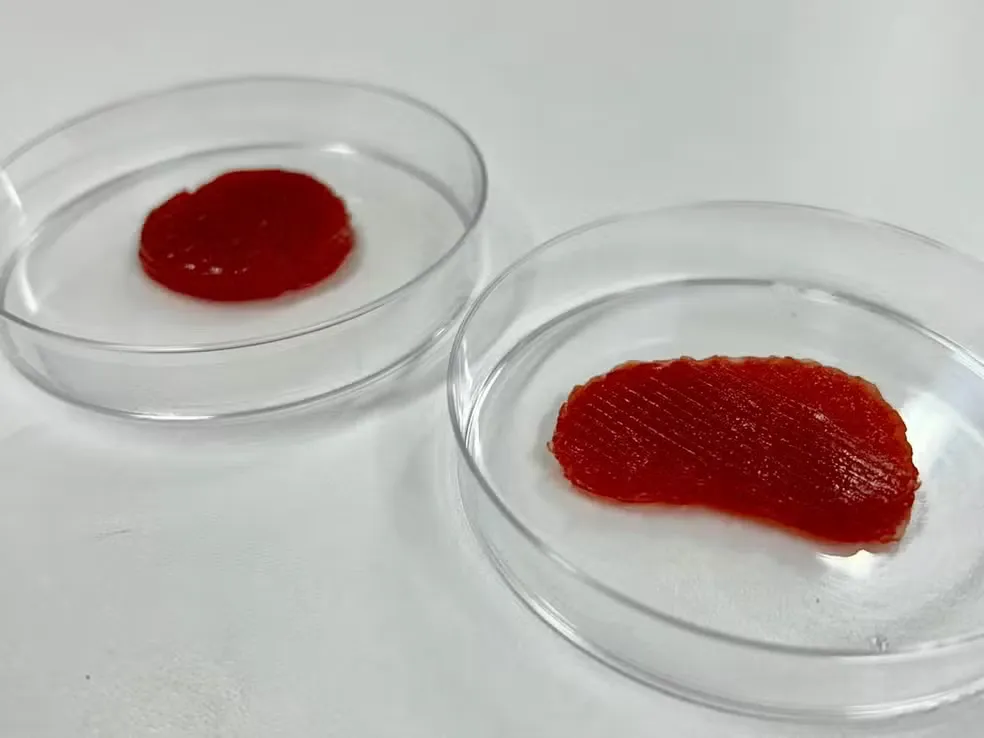 Carne feita em laboratório na Bahia vence prêmio de inovação do Nordeste