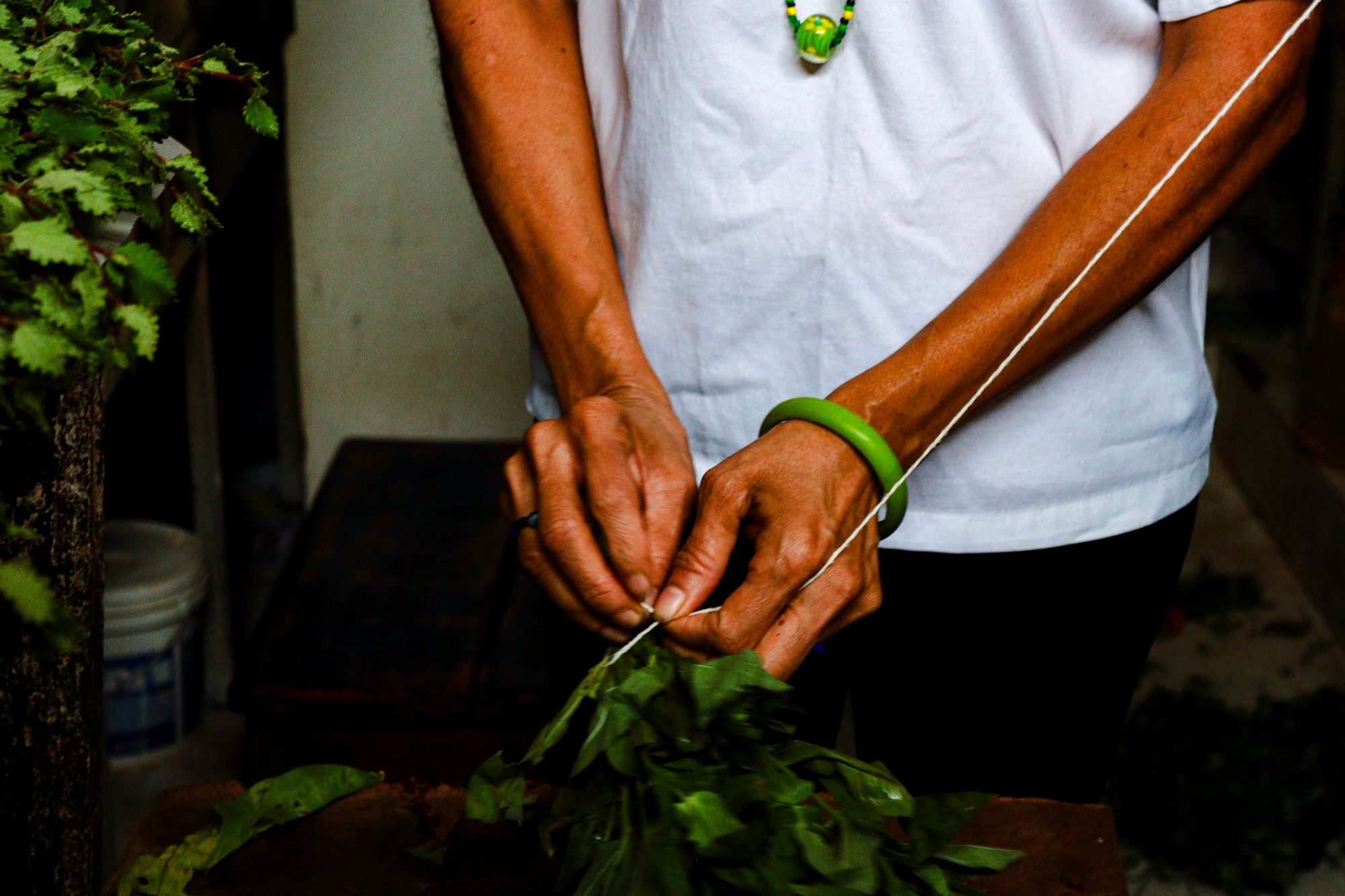 Um provérbio da cultura iorubá diz que “sem folha, não há orixá” (Kò sí ewé, kò sí Òrìṣà). | Foto: Anna Caroline Santiago/Aratu On