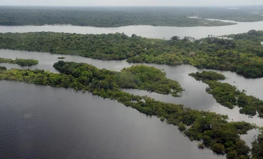 R$ 2,6 bilhões da Lava Jato são destinados à preservação da Amazônia e educação