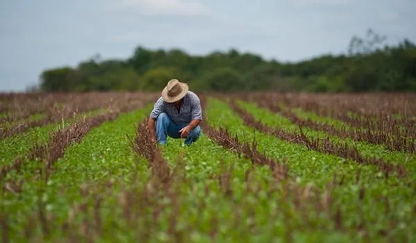 Produtores têm até a próxima segunda para aderir ao Refis Rural