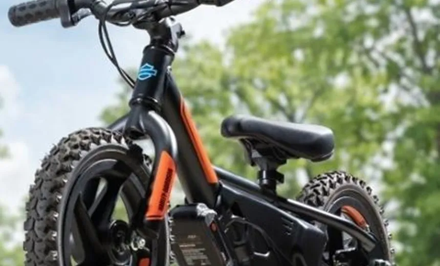 Fabricante de moto, Harley-Davidson lança bicicleta elétrica para crianças de 3 a 7 anos que custa cerca de R$ 2 mil; confira