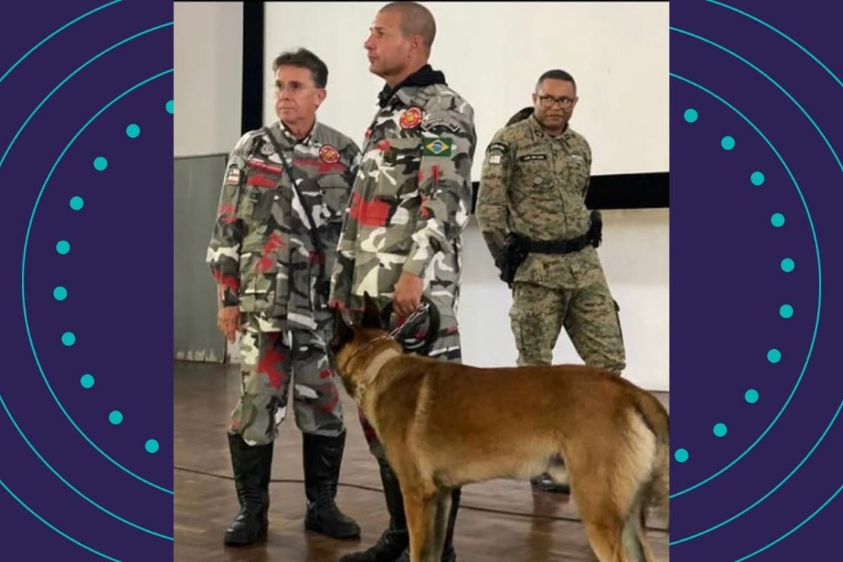 Brigada K9 denuncia retirada de cães de abrigo, em Salvador. Foto: Reprodução | Instagram