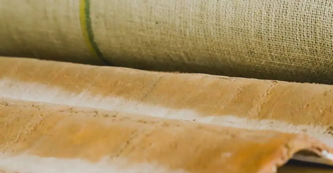 Salvador sedia encontro mundial de fibras naturais; confira detalhes