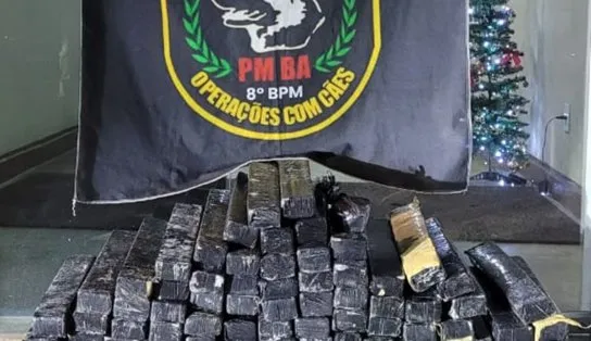 Drogas são encontradas em Porto Seguro com ajuda de cães faejadores 