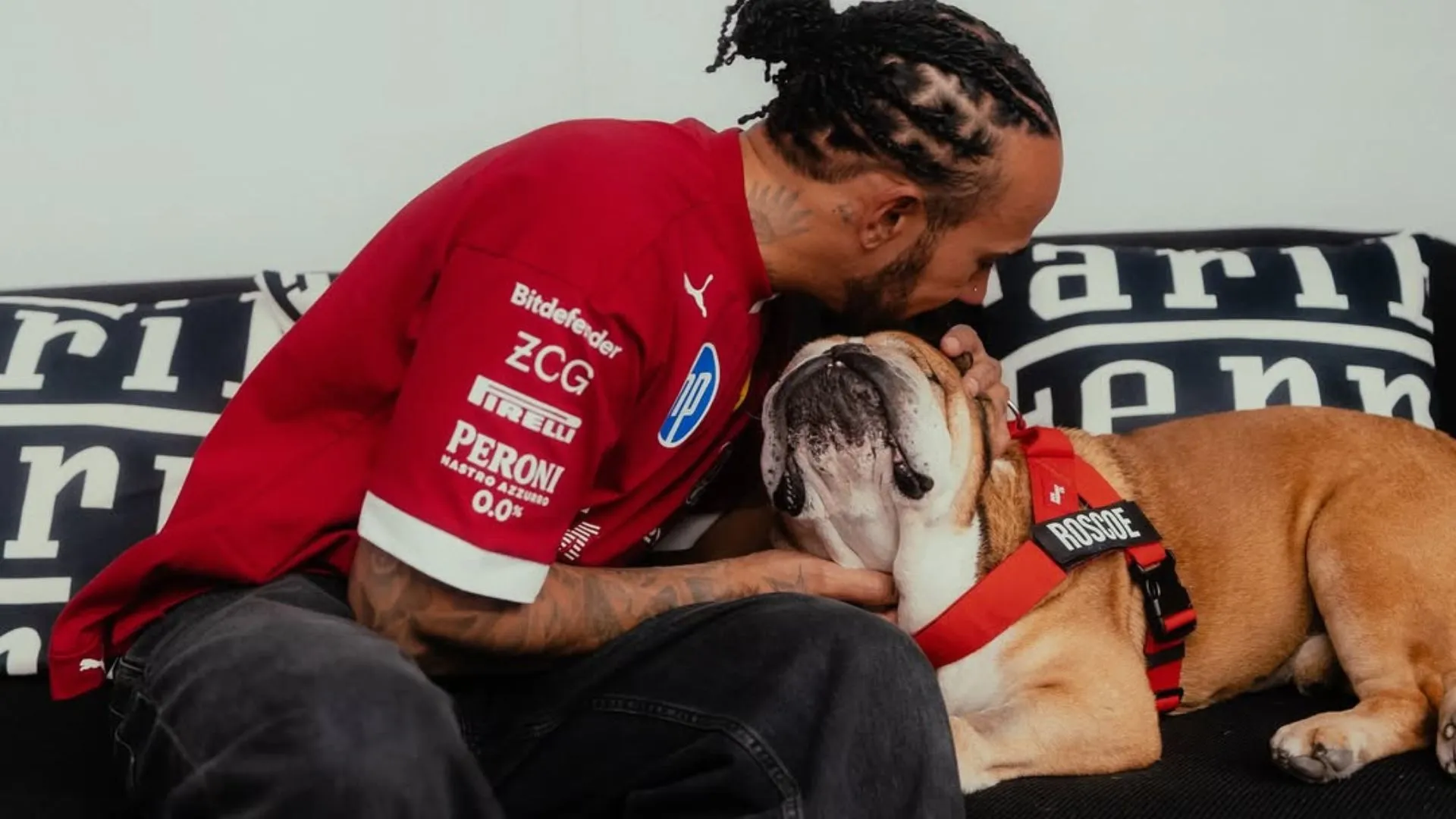 Lewis Hamilton e o cãozinho Roscoe, de quase 13 anos