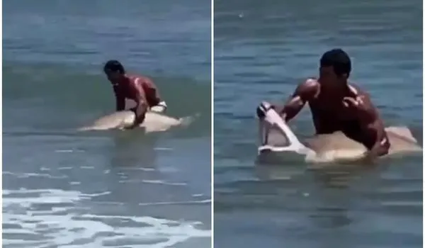 Homem segura tubarão com as mãos e abre a boca do animal em praia nos EUA; assista