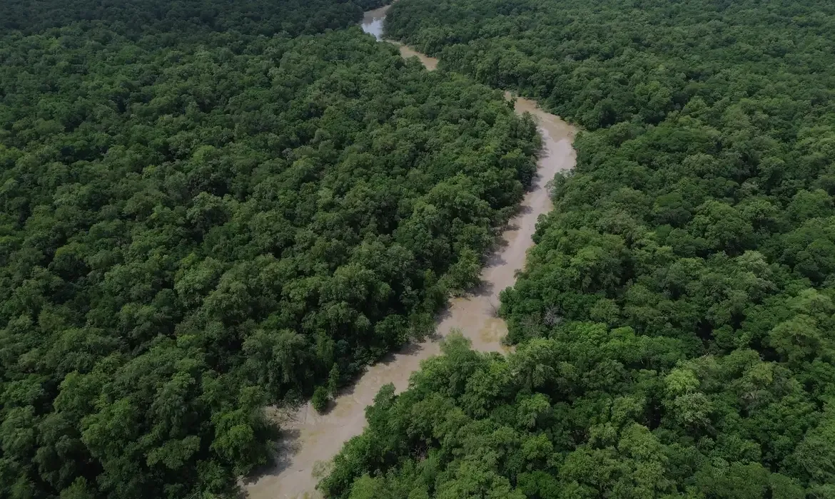 Amaz&ocirc;nia