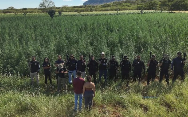 Segundo a Pol&iacute;cia Civil da Bahia, grandes planta&ccedil;&otilde;es como essa costumam empregar trabalhadores tempor&aacute;rios recrutados em outras regi&otilde;es, muitas vezes em condi&ccedil;&otilde;es prec&aacute;rias/Foto: Reprodu&ccedil;&atilde;o&nbsp;