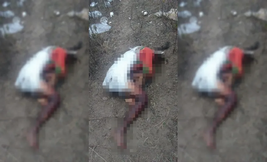 Corpo de travesti é encontrado amarrado e enrolado em saco plástico na Bahia