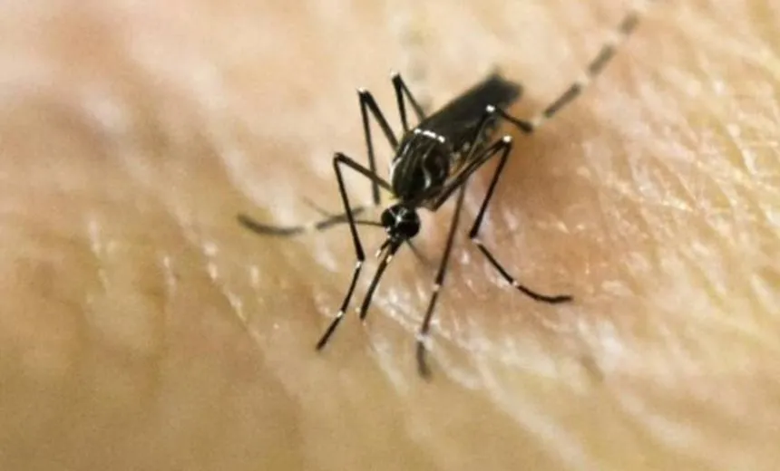 Zika pode provocar infertilidade em homens; diz IMTU