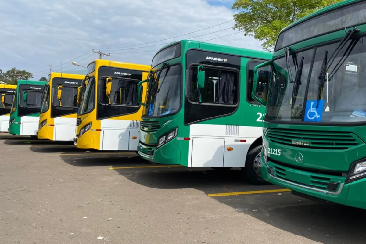 &Ocirc;nibus (2)