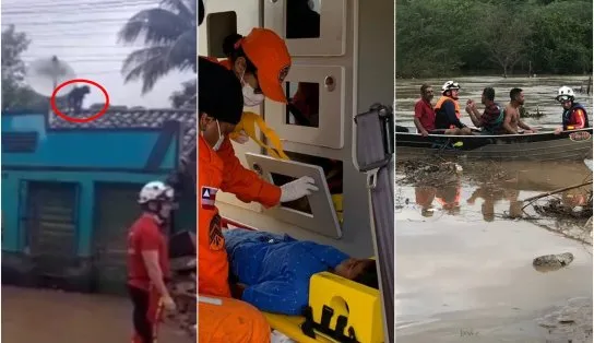 Cachorro há 4 dias no telhado, criança ilhada e homem apoiado em galho são resgatados na Bahia; veja vídeos