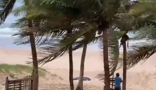 Irmão reconhece, e corpo de surfista desaparecido é localizado na Praia do Flamengo; vítima praticava esporte há pouco tempo