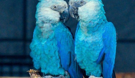 Foto: arquivo/Governo Federal