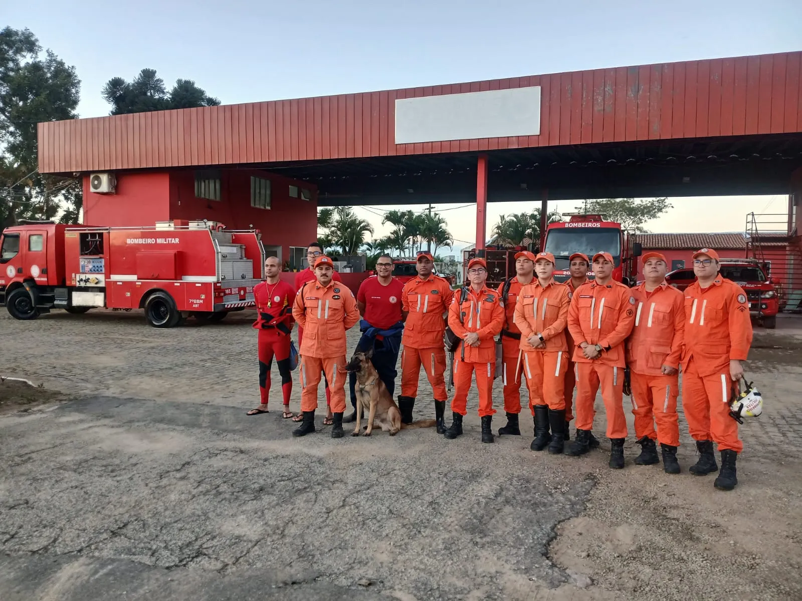 Cão farejador reforça buscas por desaparecida após enxurrada na Bahia