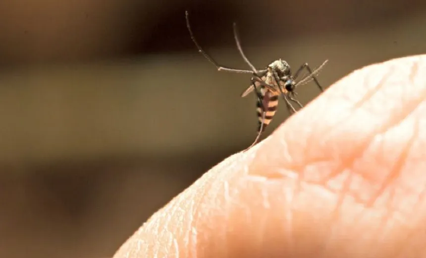 353 casos de febre amarela e 98 mortes foram confirmadas no país desde julho de 2017; Veja tabela