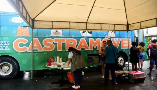 Castramóvel atende pets na Av. Paralela até o fim de fevereiro
