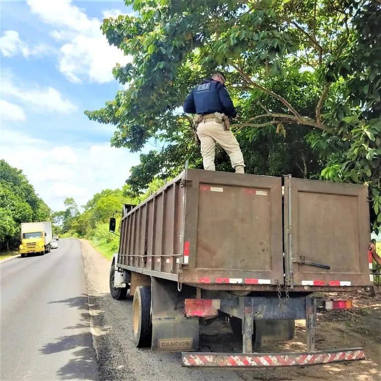 Madeira transportada ilegalmente é apreendida em Jequié