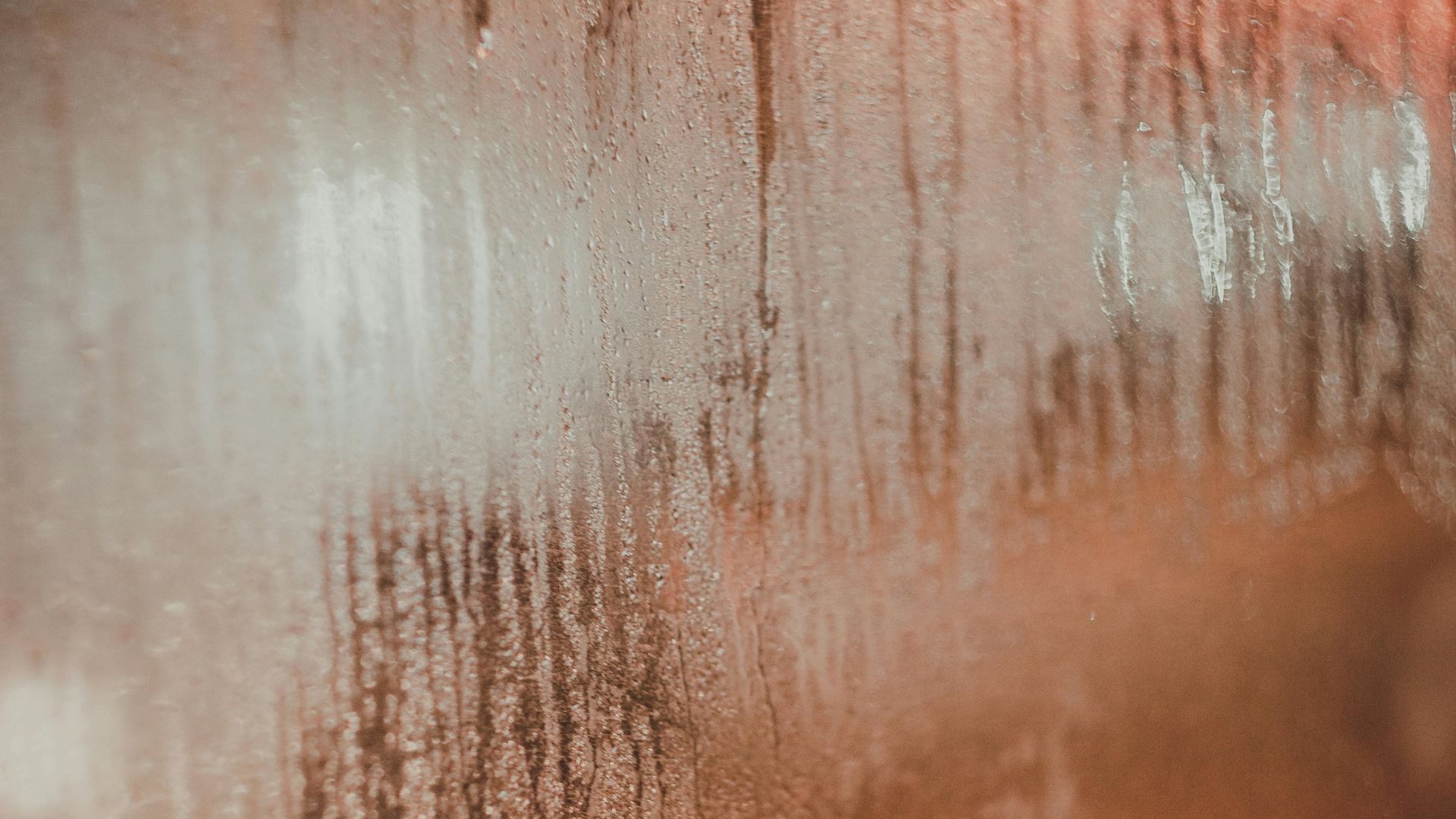 Aprenda truques para desembaçar vidros | Foto: Иван Васючков/Pexels