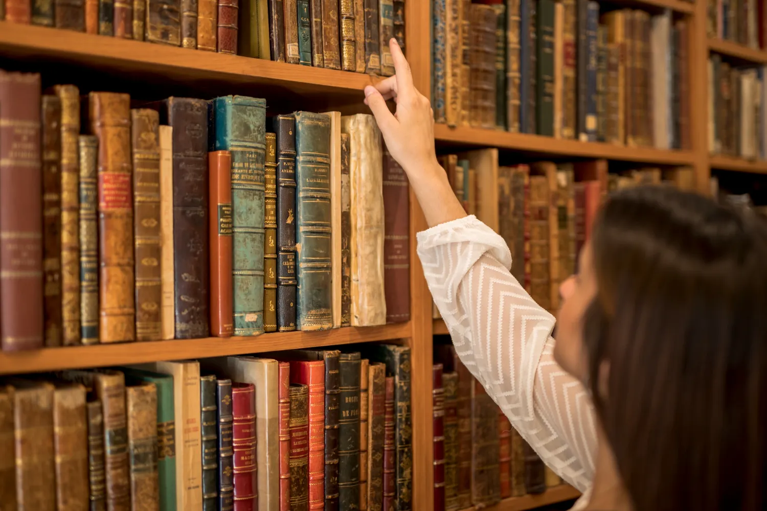 Salvador pode ganhar biblioteca municipal; confira detalhes