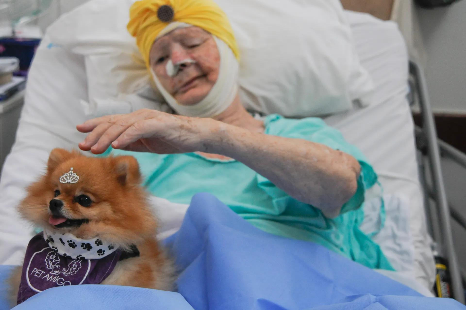 Seu pet pode te visitar no hospital em Salvador
