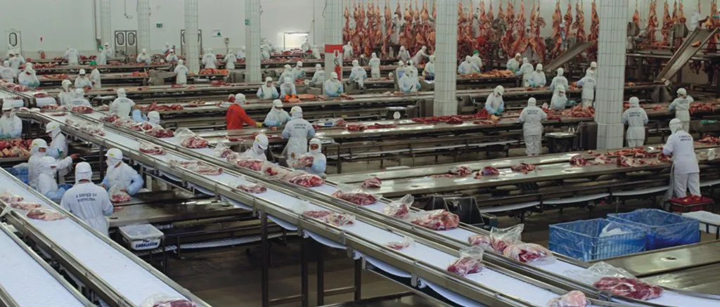 Grande grupo alimentício recebe inscrições para programa de Trainee