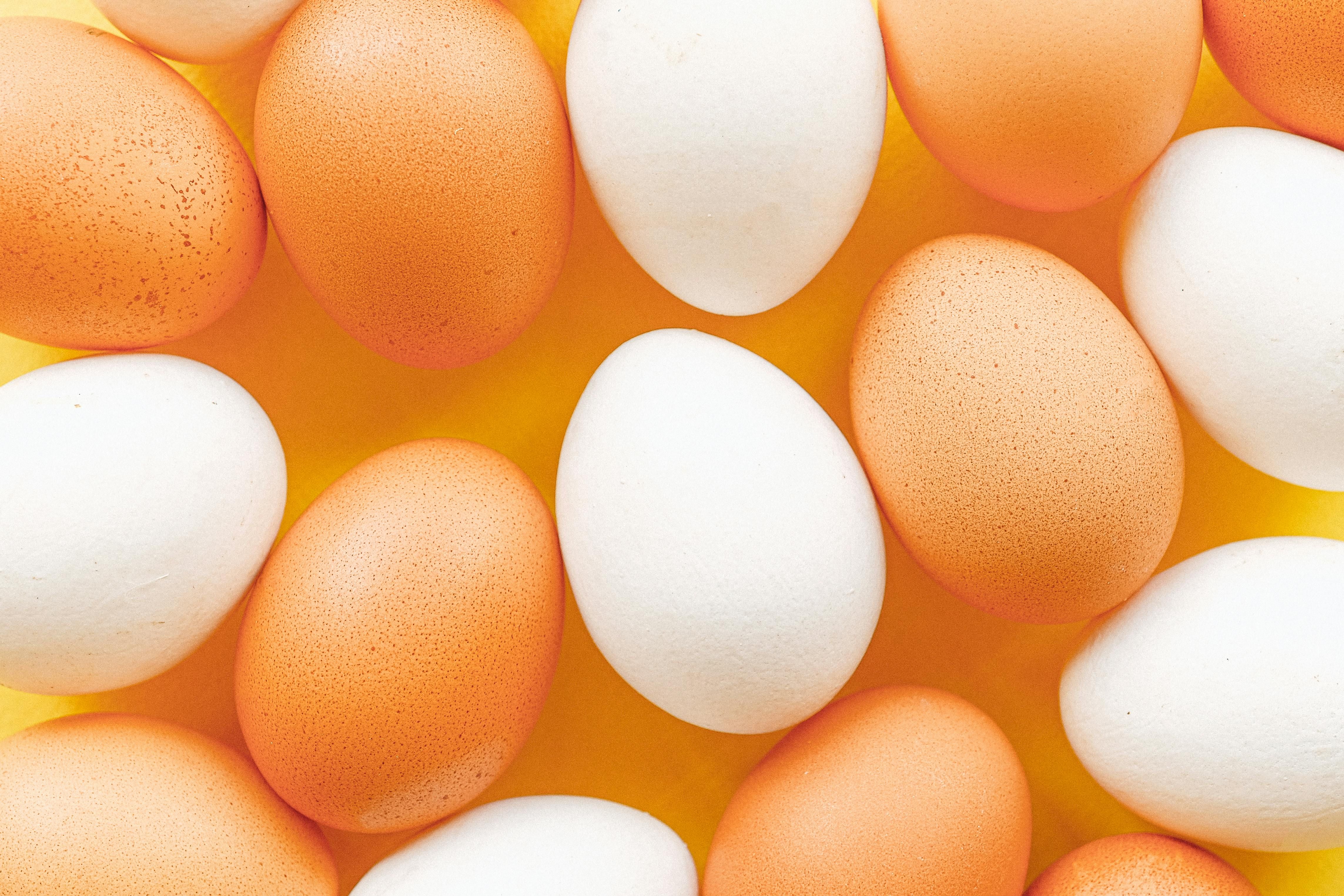 O preço do ovo é influenciado por diversos fatores. | Foto: Ilustrativa/Pexels