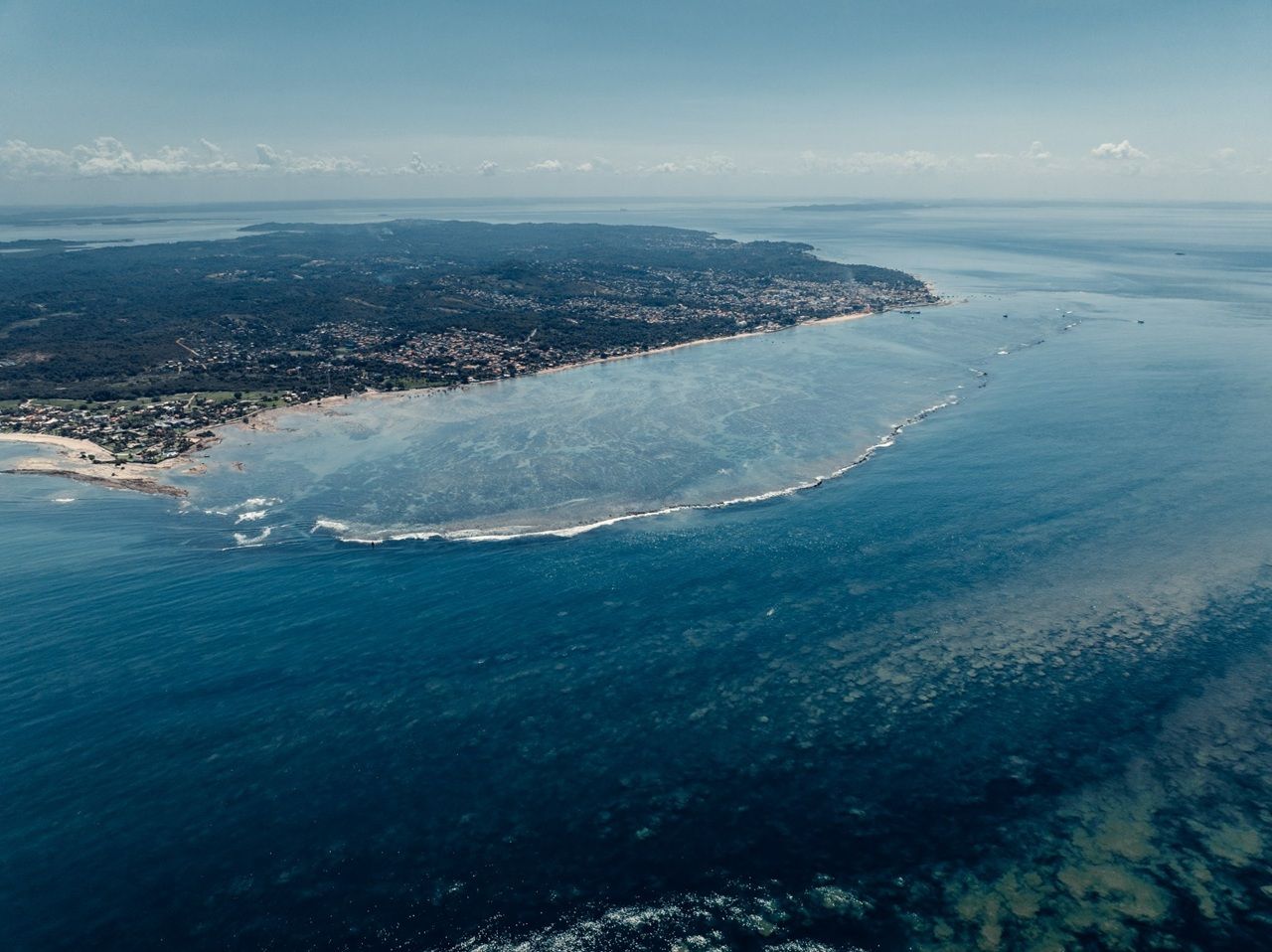 Semana Oceânica Da Bahia Discute Preservação Marinha E Restauração De Corais