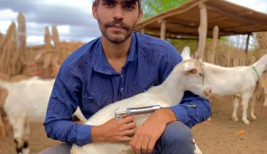 Cabra cega que se guia pela voz do dono na Bahia viraliza; "às vezes tenho que berrar para socializar" 