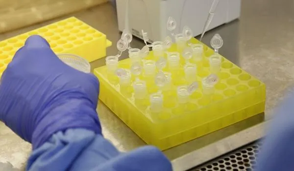 Vacina própria da Fiocruz contra a Covid-19 pode ter testes clínicos em 2021