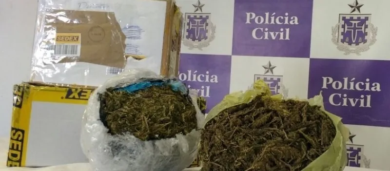 ENCOMENDA DO MAL: Quase dois quilos de maconha são encontrados em agência dos Correios de Salvador