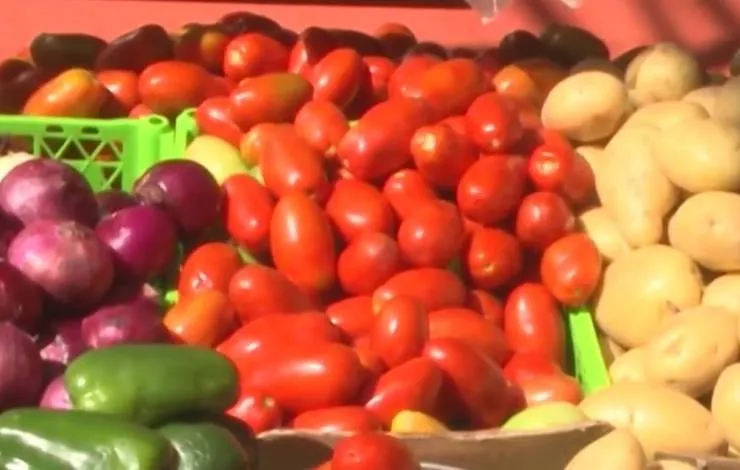 Cesta básica tem ligeira alta em Salvador nos últimos meses, segundo Dieese