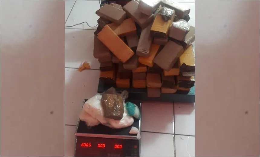 Ação policial apreende R$ 500 mil em drogas na Estrada da Rainha
