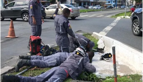 Cachorrinho cai em vala e é resgatado por bombeiros em Salvador; veja vídeo  