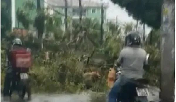Chuva em Salvador: Codesal recebe 350 notificações nesta quinta-feira
